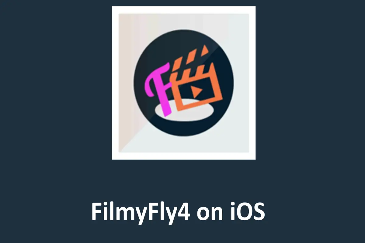 How to Safely Download and Install FilmyFly4 on iOS?